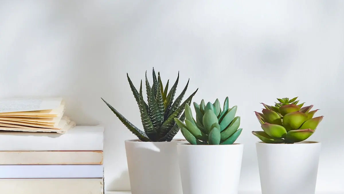 bring-something-extra-to-your-environment-with-fake-plants