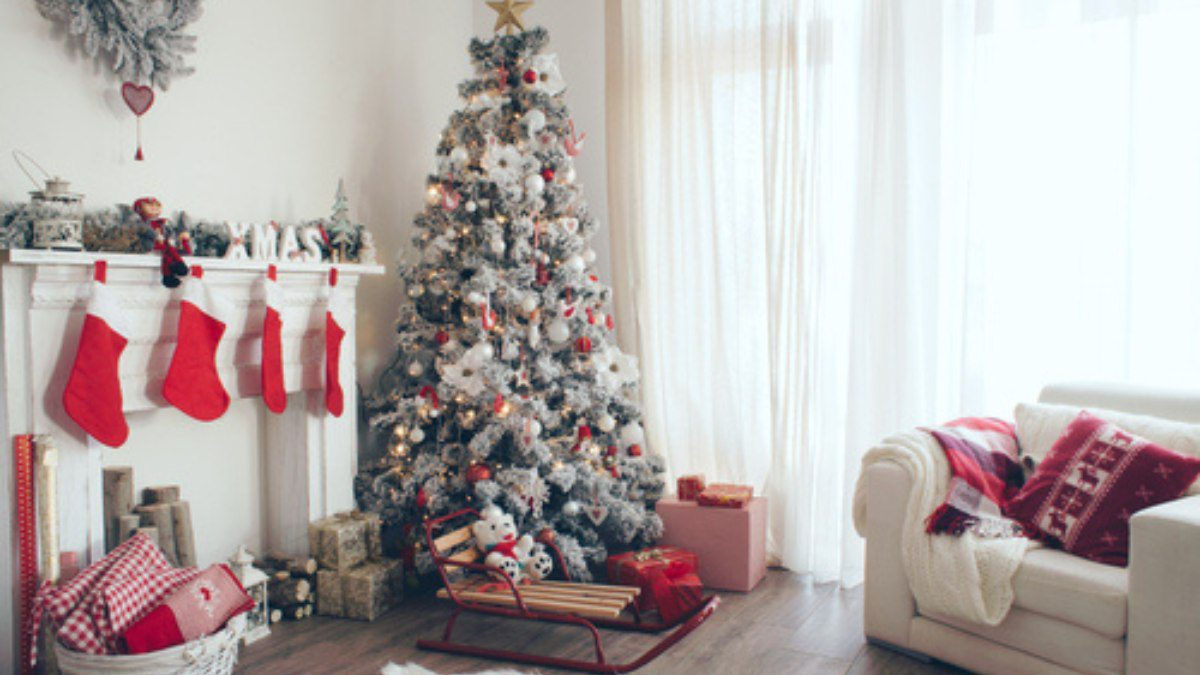 enliven-your-premises-with-decorated-christmas-trees