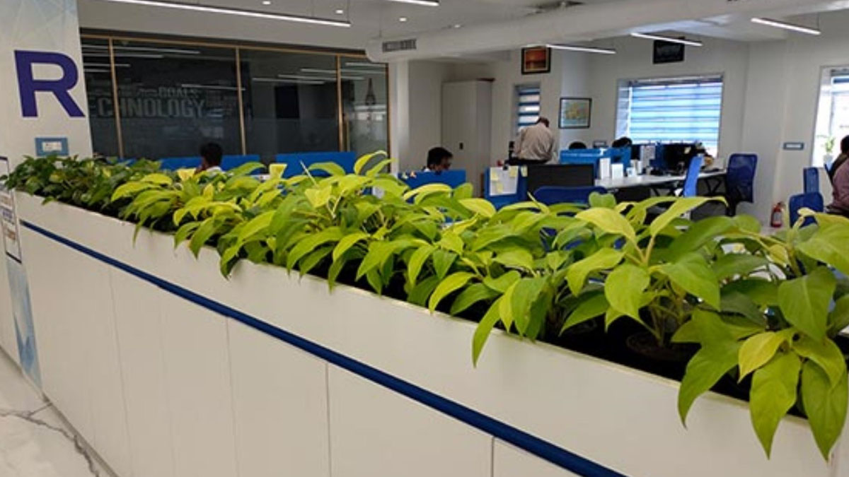 offices-get-greener-with-plant-rental-services