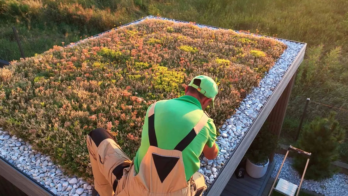 try-sedum-roof-planting-if-you-are-looking-for-new-ways-to-be-green