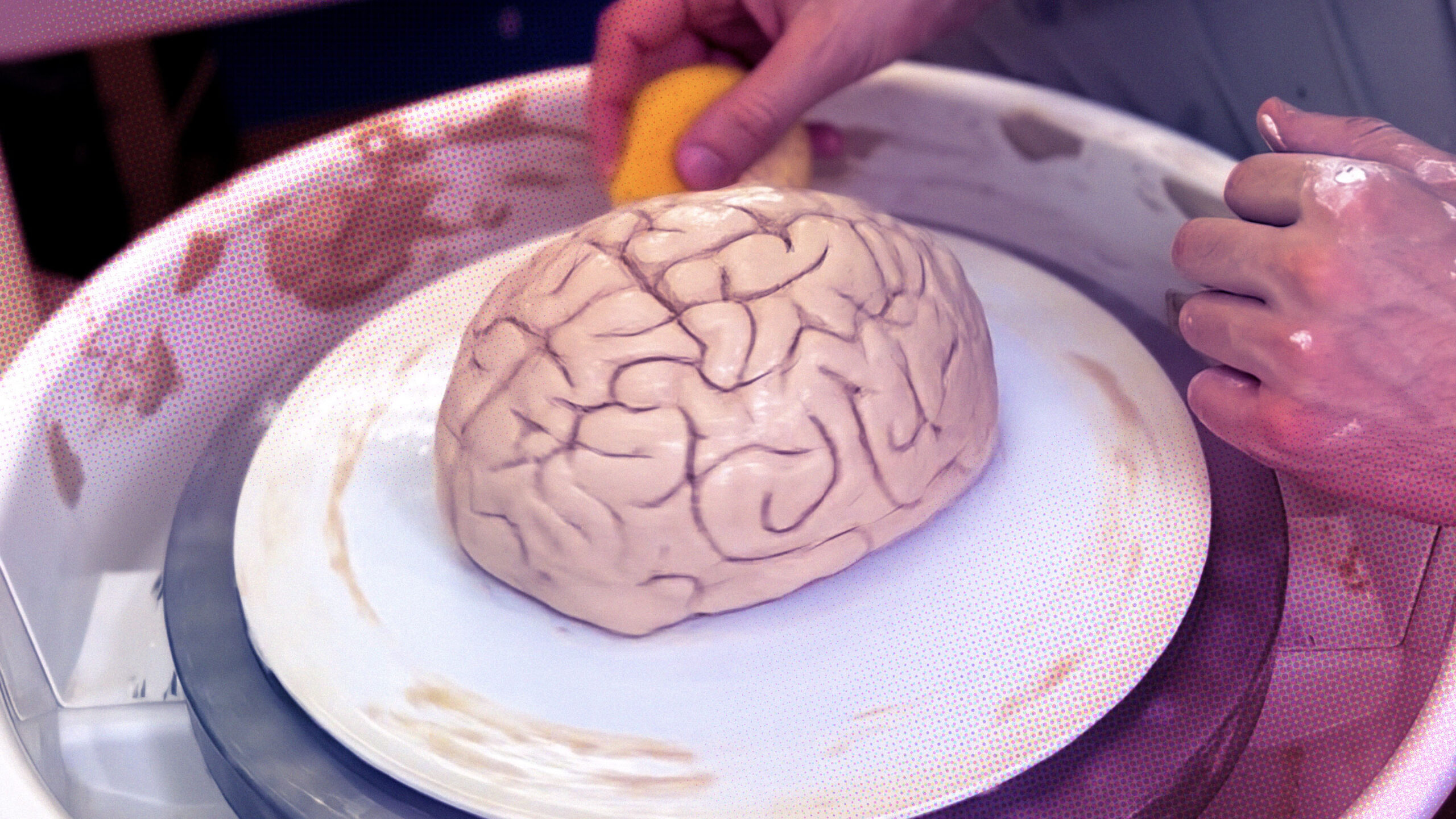 Neuroplasticity in the Modern World